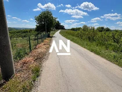 Milovana Jovičića | 4zida.rs