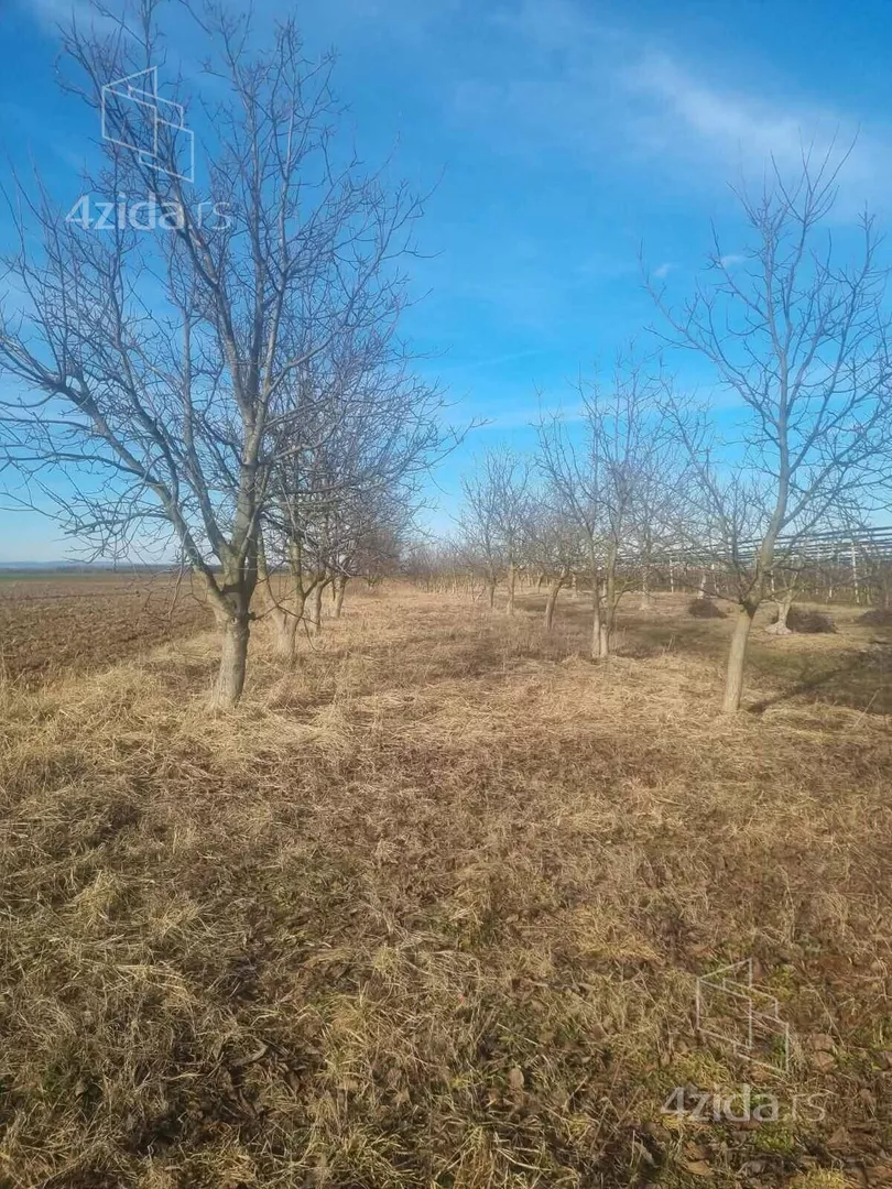 Poljoprivredno zemljište | 4zida