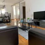 Beograd, Savski Venac, Senjak | 4zida.rs | 4zida.rs