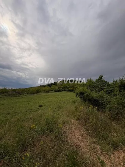Čortanovci | 4zida.rs