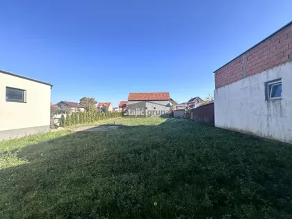 Mihajla Pupina | 4zida.rs