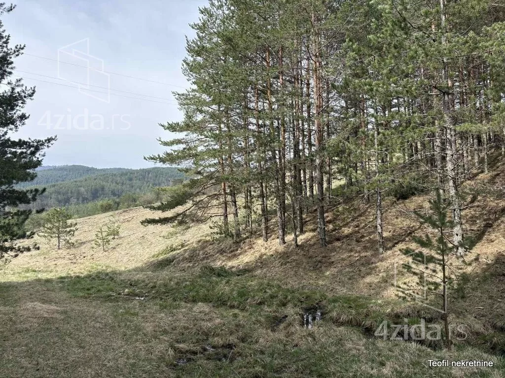 Plac | 4zida