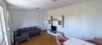 Novi Sad, Gradske lokacije, Detelinara | 4zida.rs | 4zida.rs