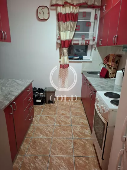 Dr Svetislava Kasapinovića | 4zida.rs