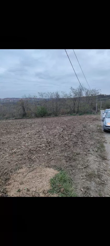 Lipovačka | 4zida.rs