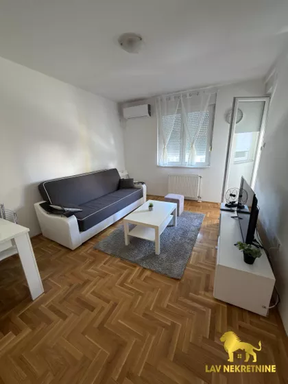 JERNEJA KOPITARA | 4zida.rs