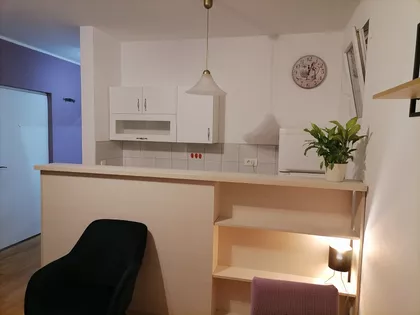 Petra Škundrića | 4zida.rs