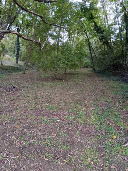 Cvetna 66 | 4zida.rs