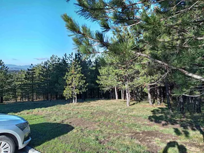 Belog Narcisa 7 | 4zida.rs