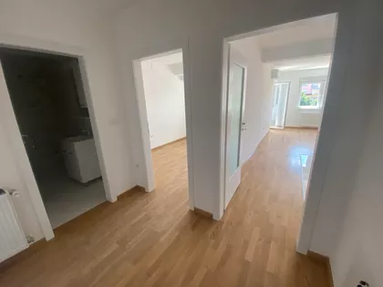 Cara Dušana | 4zida.rs