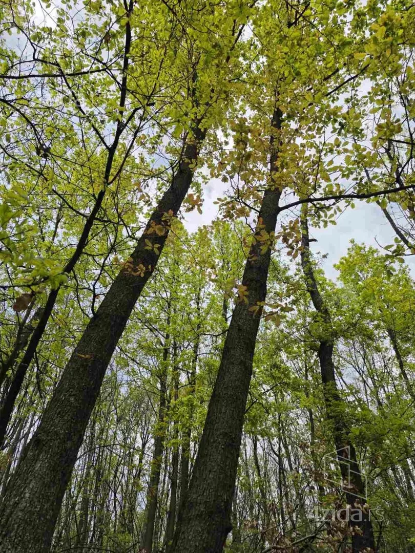 Poljoprivredno zemljište | 4zida