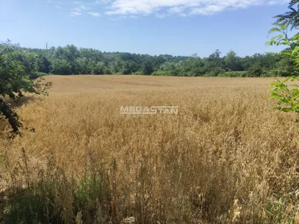 Šiljakovac | 4zida.rs
