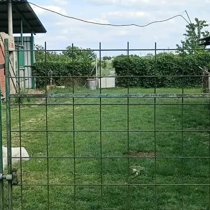 Ruža | 4zida.rs
