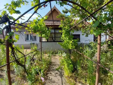 Palić