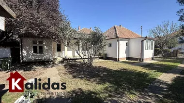 Veternik