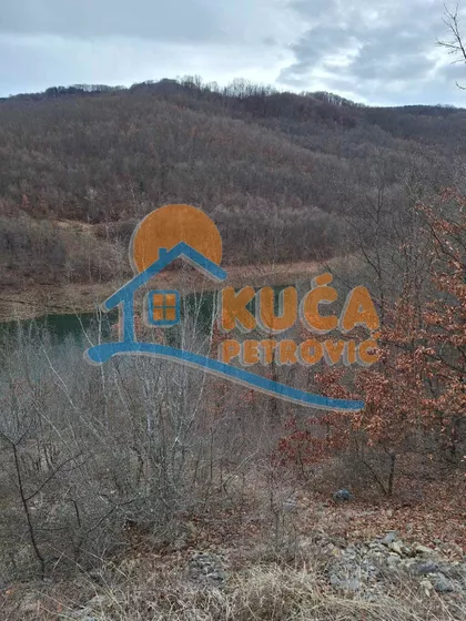 Zavojsko Jezero | 4zida.rs