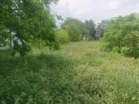 Čerević, Okolne lokacije, Beočin | 4zida.rs