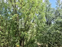 Vranić, Barajevo opština, Beograd | 4zida.rs