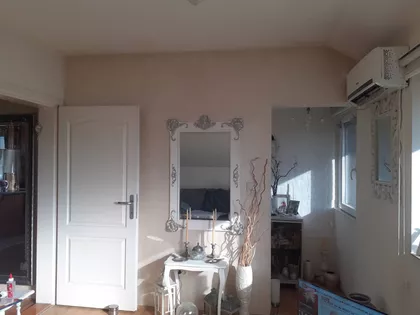 Žike Mesarovića | 4zida.rs