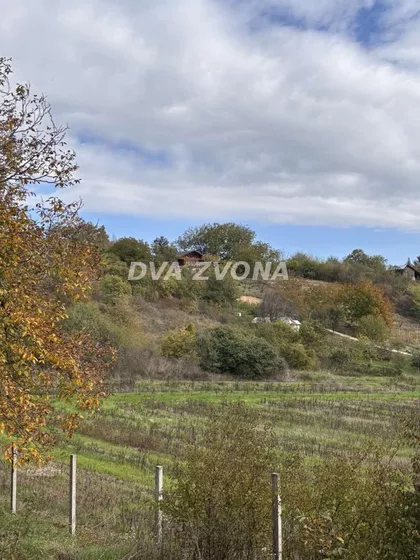 Čortanovci | 4zida.rs