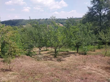 Grošnica | 4zida.rs