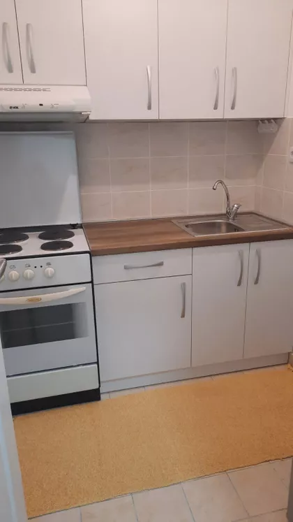 Vase Ostojića | 4zida.rs