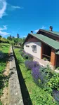 Čerević, Okolne lokacije, Beočin | 4zida.rs | 4zida.rs