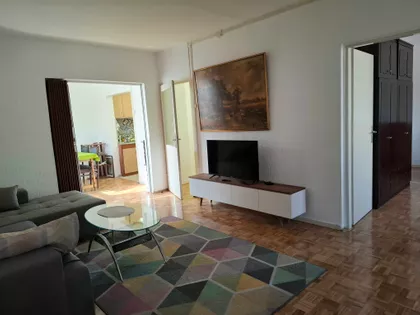 Ulofa Palmea 26 | 4zida.rs