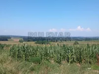 Brestovac, Okolne lokacije, Knić | 4zida.rs