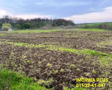 Stari Banovci