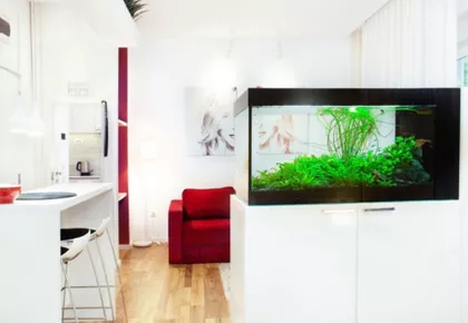 Kraljice Natalije | 4zida.rs