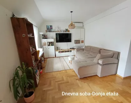 Davida Pajića | 4zida.rs