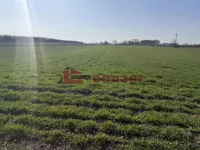 Palić, Okolne lokacije, Subotica | 4zida.rs