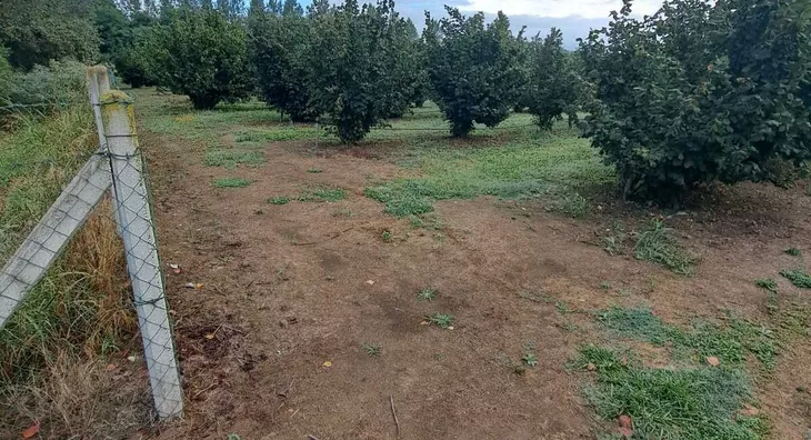 Poljoprivredno zemljište | 4zida