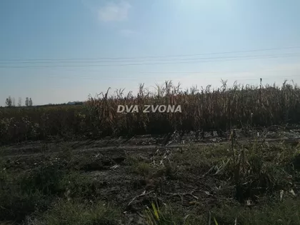 Futog | 4zida.rs