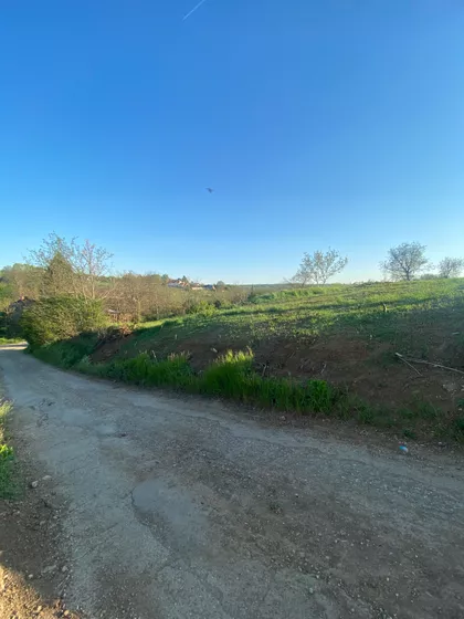 Miloja Milićevića | 4zida.rs