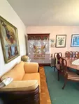 Novi Sad - Centar, Stari Grad, Gradske lokacije, Novi Sad | 4zida.rs | 4zida.rs