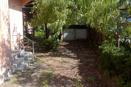 Žikice Jovanovića Španca | 4zida.rs