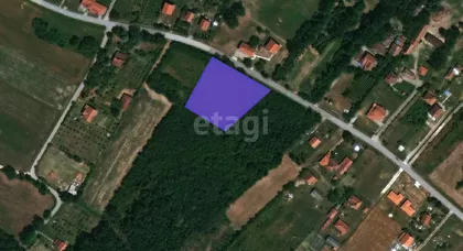 Martovska | 4zida.rs