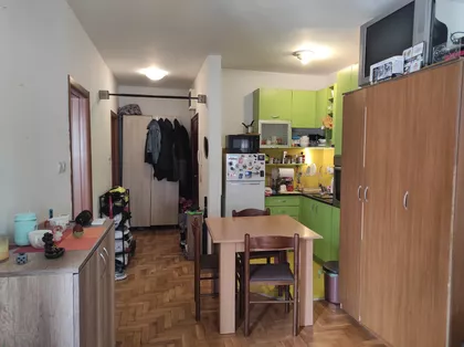 Dr Svetislava Kasapinovića | 4zida.rs