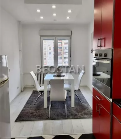 Dr Ivana Ribara | 4zida.rs