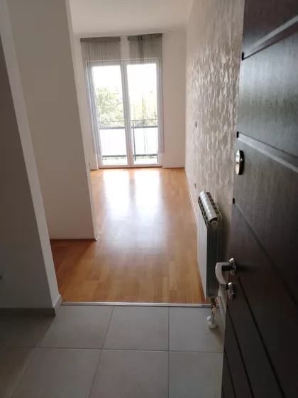 Pilota Milenka Pavlovića | 4zida.rs