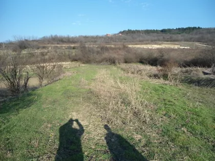 Orasje | 4zida.rs