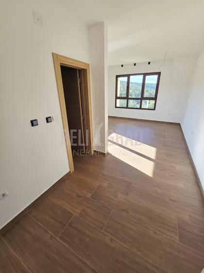 Belog narcisa | 4zida.rs