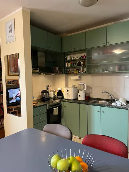 Janka Čmelika | 4zida.rs