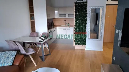 Tošin bunar | 4zida.rs