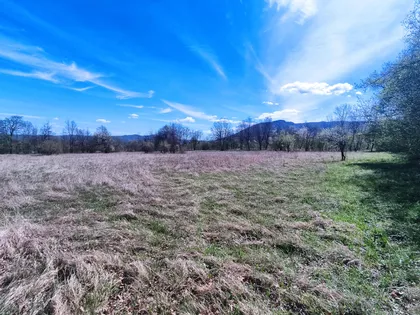 Mirovska | 4zida.rs