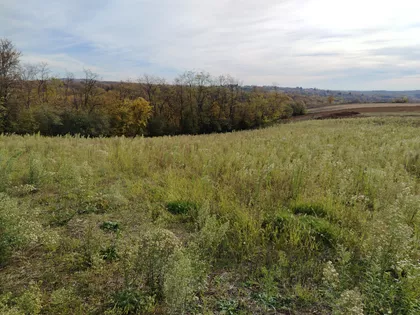 Lazara Jankovića | 4zida.rs