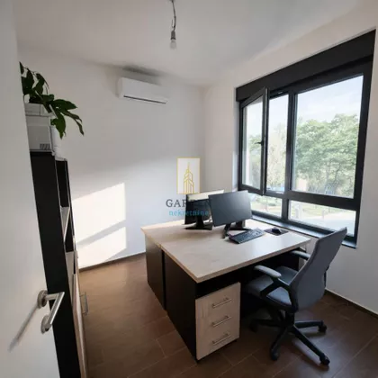 Dragoslava Srejovića | 4zida.rs