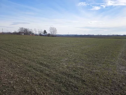 Bore Stankovića | 4zida.rs